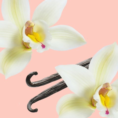 Soft & Gentle Sweet Vanilla Supreme Hydration shower Cream