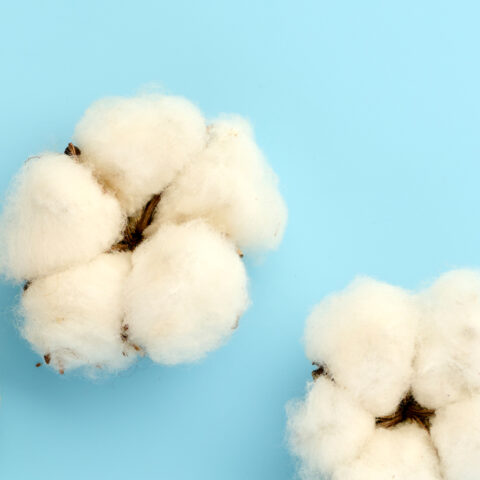 Cotton Touch